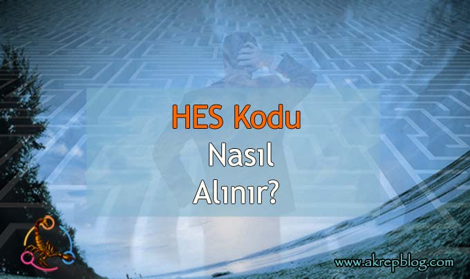 HES Kodu Nasıl Alınır? SMS ve E-Devlet Üzerinden HES Kodu Almak