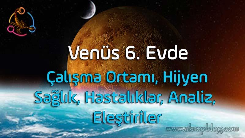 Venüs 6. evde, 6. evde Venüs, Çalışma ortamı, hizmetler, hijyen, sağlık, hastalıklar, analiz yeteneğimiz, eleştiriler, olumlu ve olumsuz etkileri