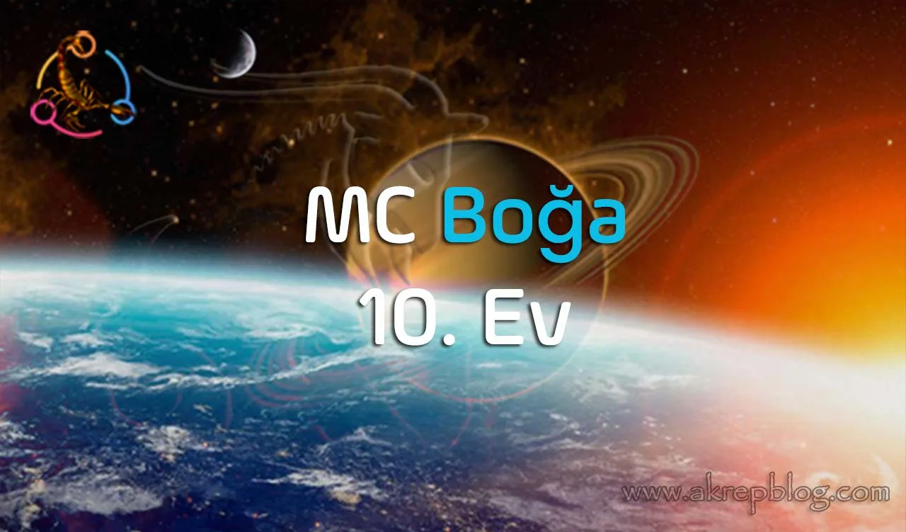 Mc Boğa 10. Ev